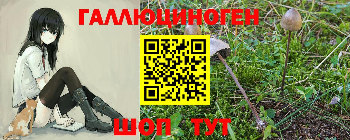 Кинешма  Псилоцибиновые грибы GOLDEN TEACHER  Вход с VPN 